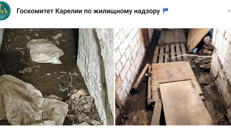 подвал дома