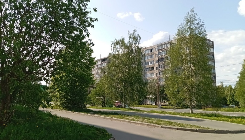 газон