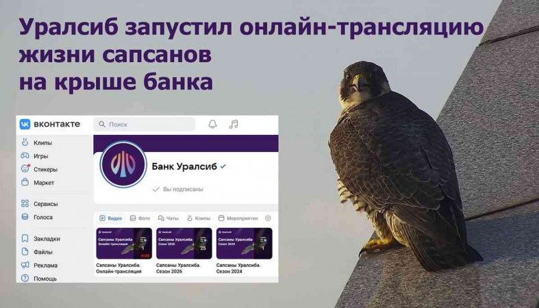 сапсаны уралсиба