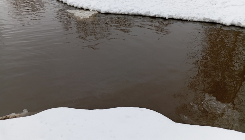 берег реки берег реки