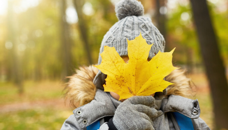 ребёнок с кленовым листом