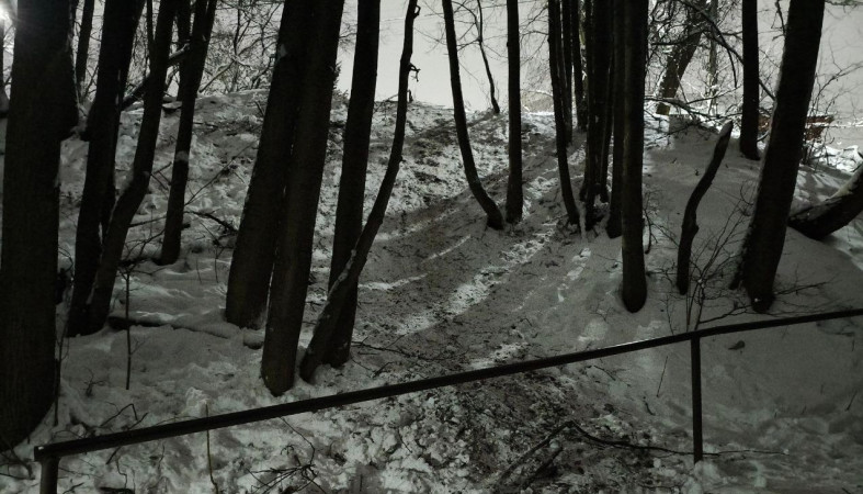 Снежный овраг