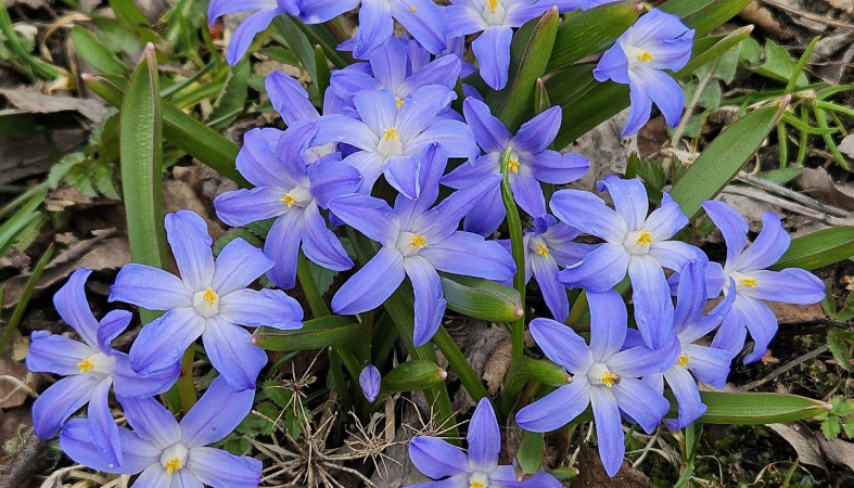 Весна на улице