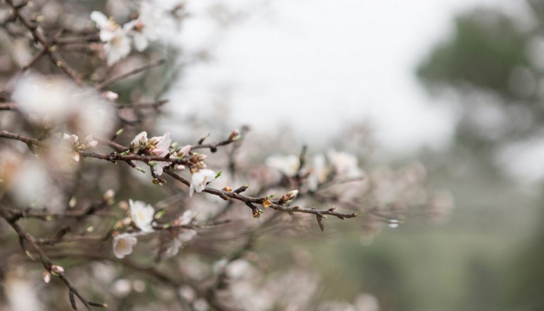 Весна на улице