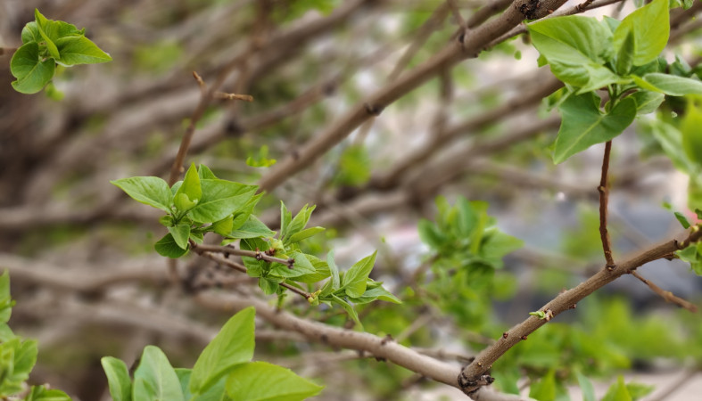 Весна на улице