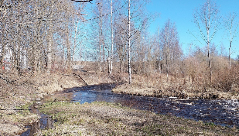 Весна погода Карелия Весна погода Карелия