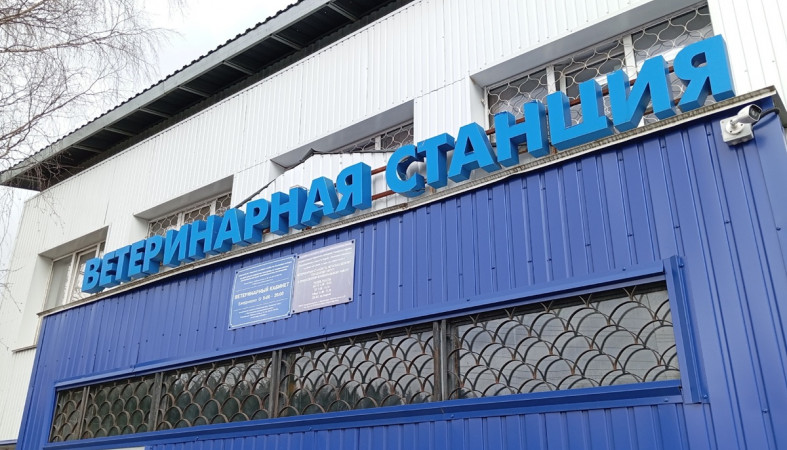 ветстанция ветстанция