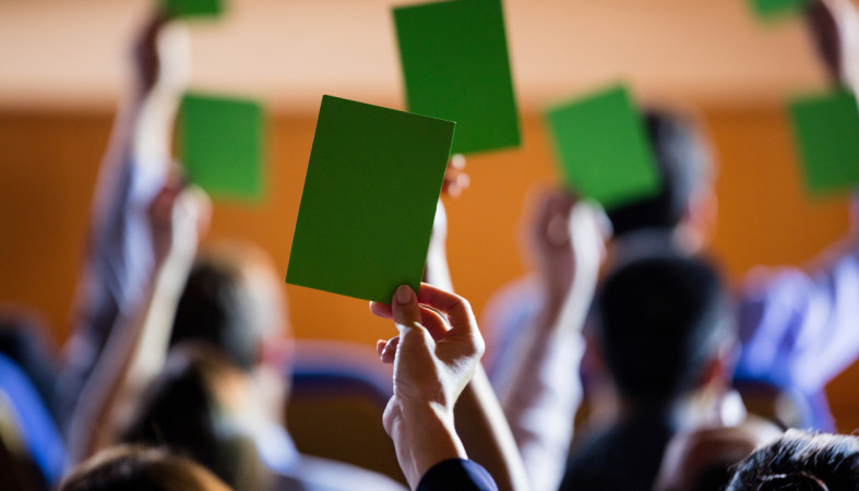 голосование_выборы