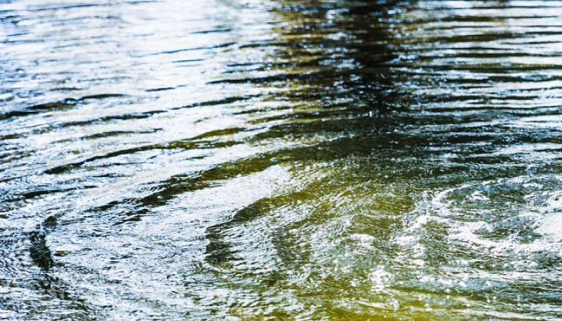 Хлынувшая вода угрожает людям в Сегежском округе