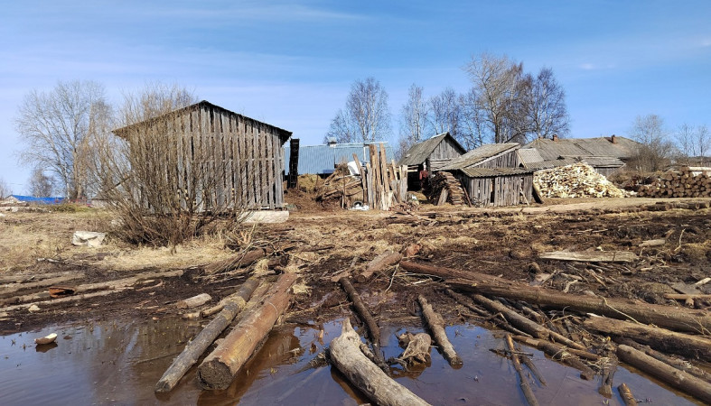 Река Водла Бочилово