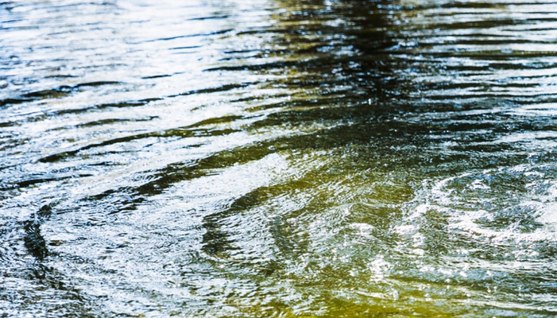 водоем