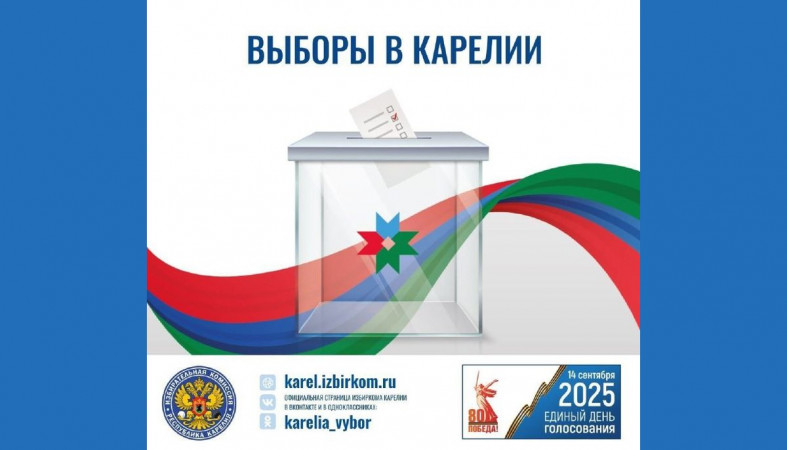 информация о днях выборов