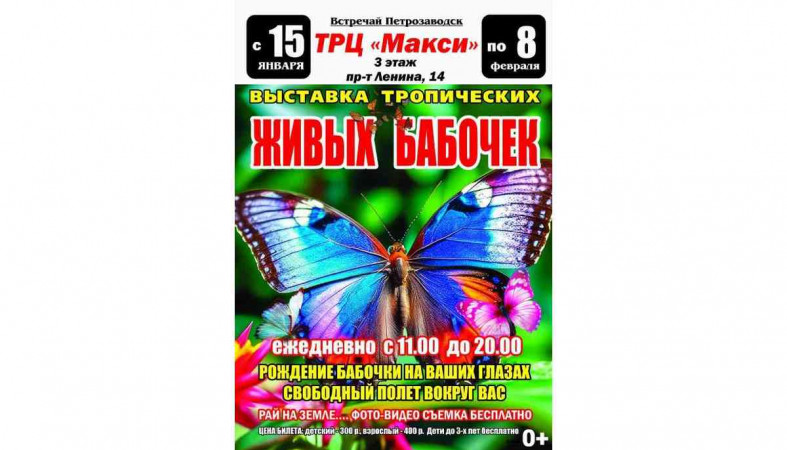 выставка бабочек