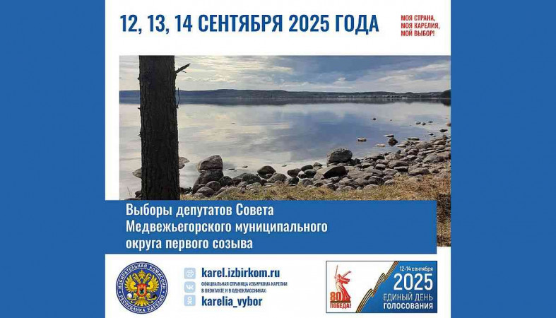выборы медвежегорский мо
