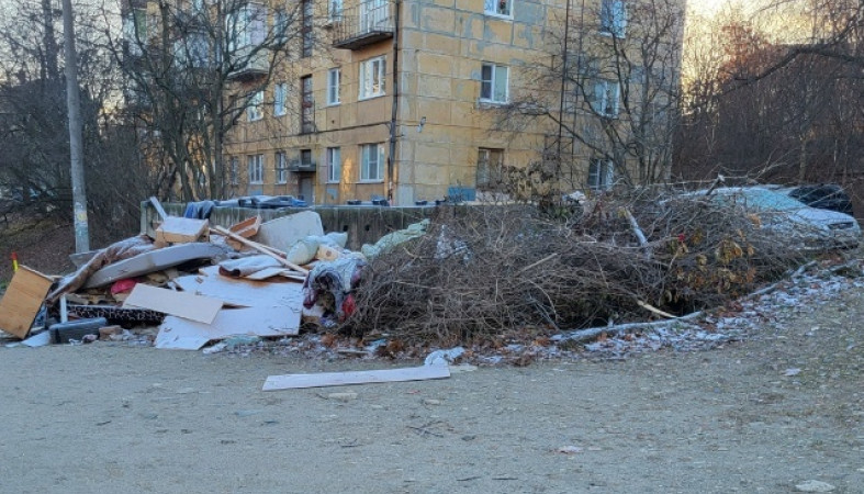 мусор_свалка_контейнеры