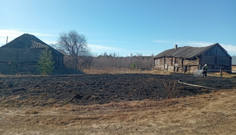 подар_трава_дом