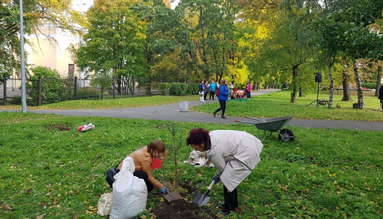 «Во имя мира» в Петрозаводске высадили 70 деревьев (фото)