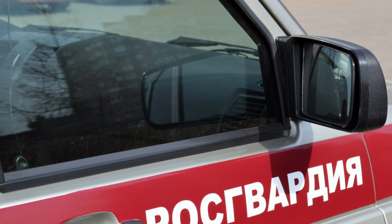 Гастролеров отловили при попытке обокрасть гипермаркет в Петрозаводске