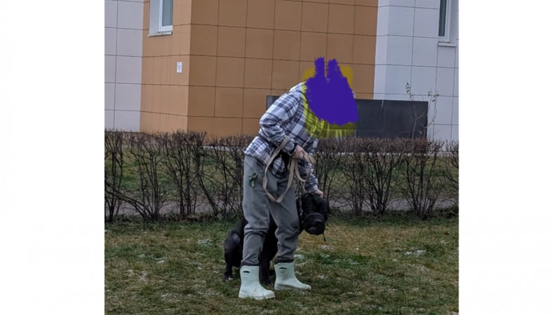 собака собака