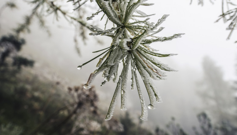 зима_погода_соста_капля_дождь