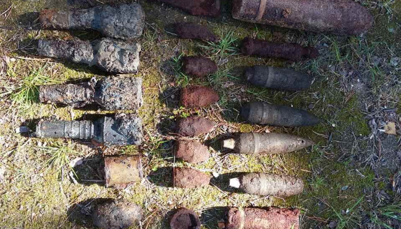 Арсенал отечественных боеприпасов обнаружен в Карелии