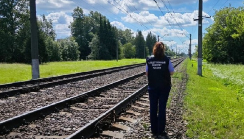 Девочка погибла на железной дороге в Ленобласти