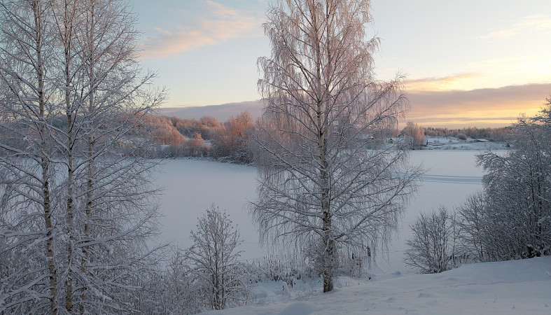 Зимний день