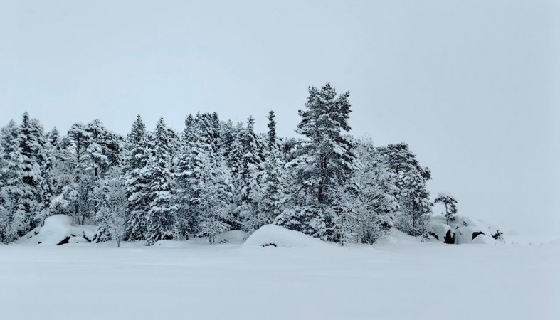 Зима на озере