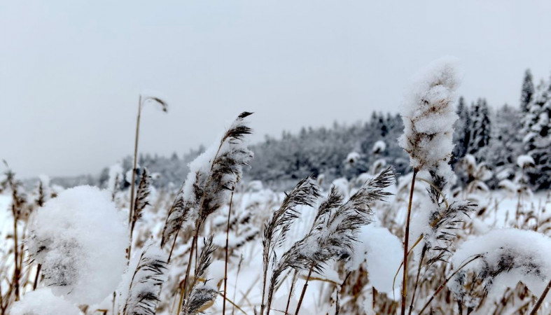 Зима в Карелии