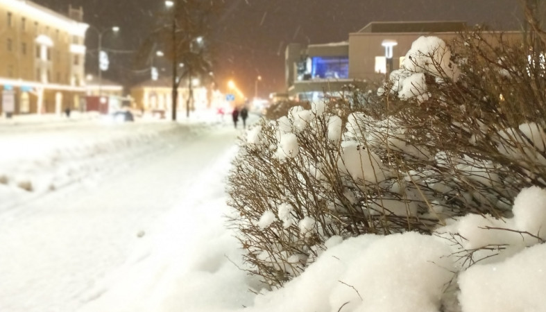 Зима в городе