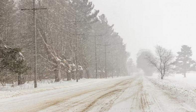 Снежный день Снежный день