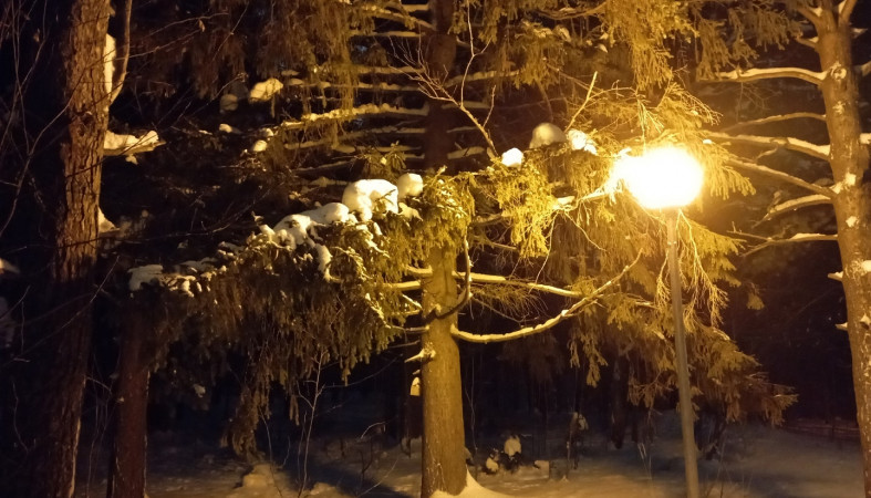 Зима в городе