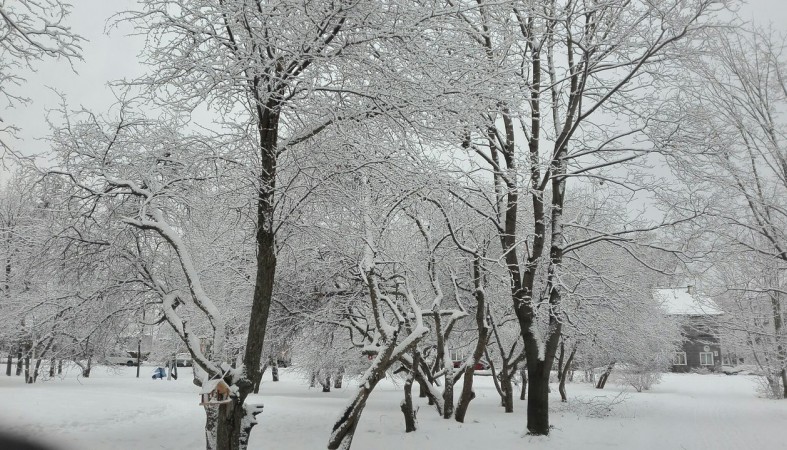 Прогноз погоды в Карелии на сегодня, 5 января