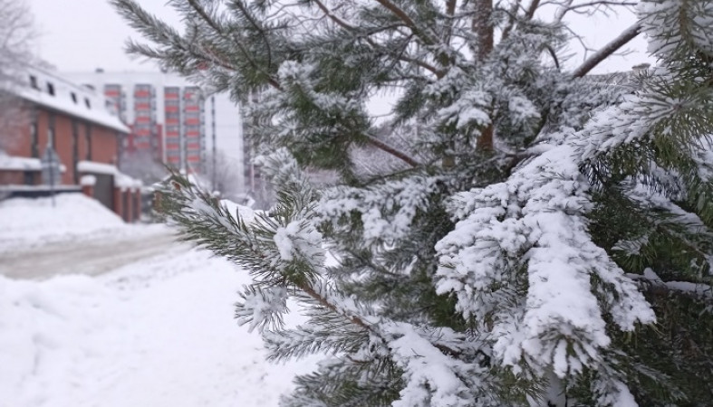 Погода в Петрозаводске 30 Октября 2019