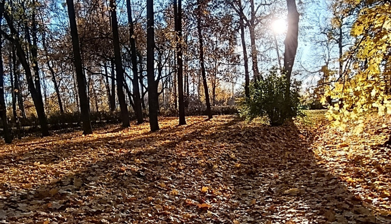 осенний парк