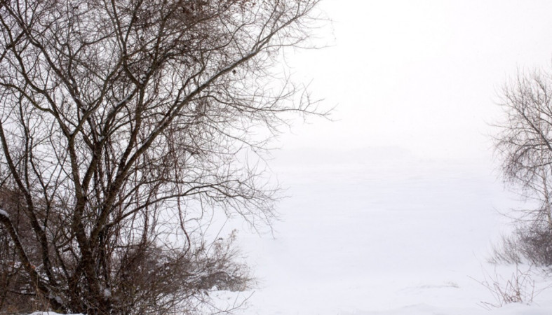 зимний день зимний день