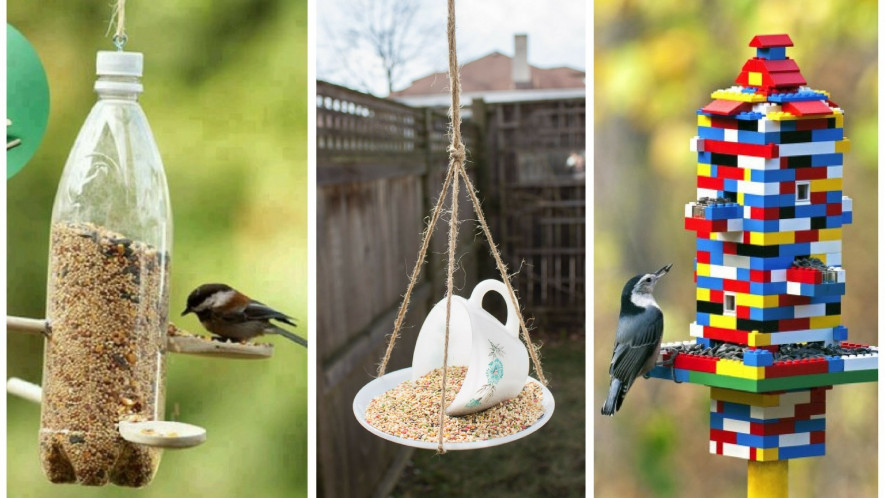 Какая польза от кормления птиц