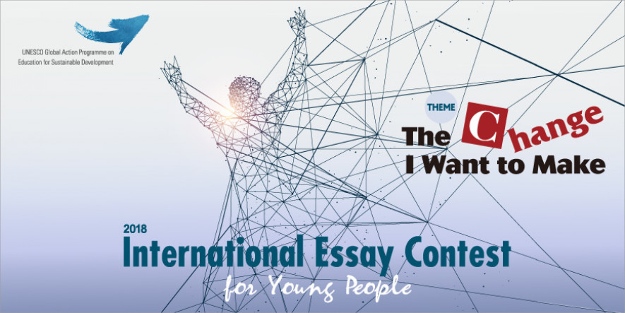 International essay