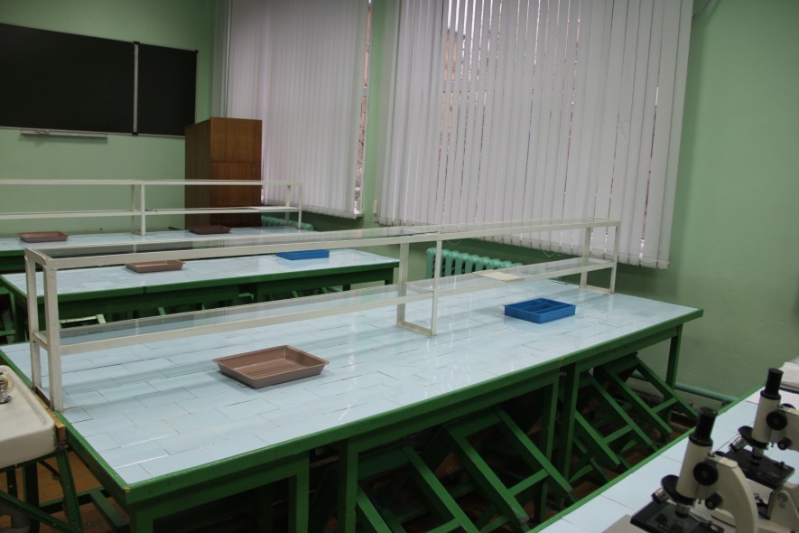 петрозаводский техникум городского хозяйства рейтинг. Смотреть фото петрозаводский техникум городского хозяйства рейтинг. Смотреть картинку петрозаводский техникум городского хозяйства рейтинг. Картинка про петрозаводский техникум городского хозяйства рейтинг. Фото петрозаводский техникум городского хозяйства рейтинг