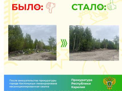 свалка