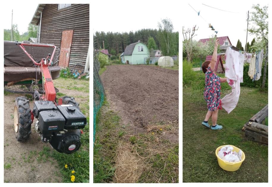 коллаж сельские заботы