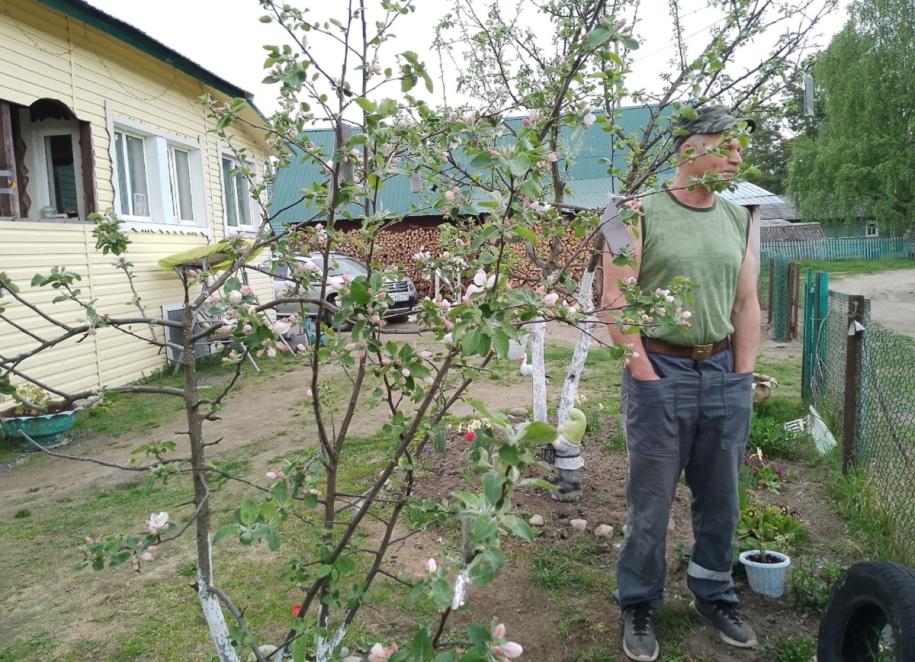 Николай Локкин