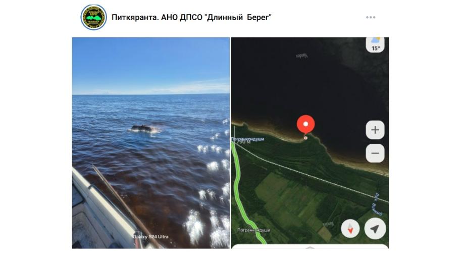 поиск пропавших