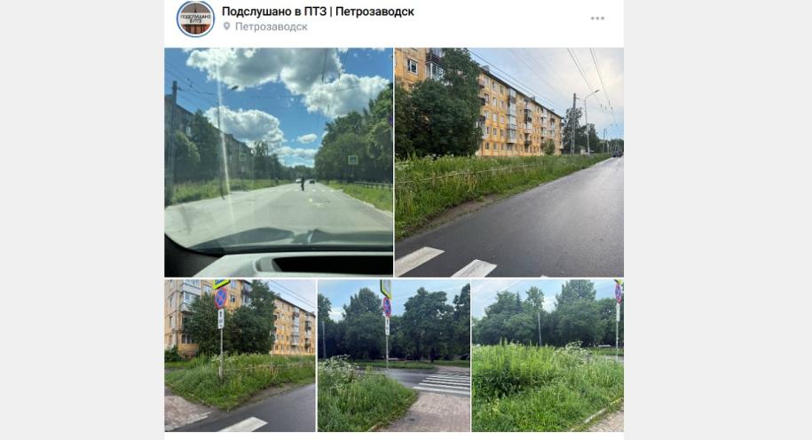 трава на Московской