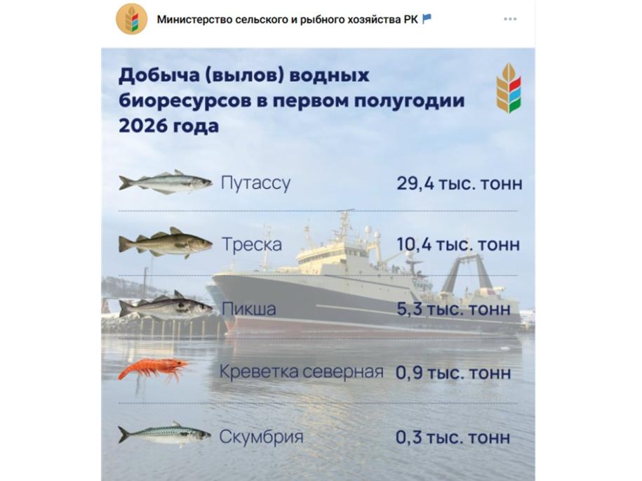 изображение пойманной за полгода рыбы в океане