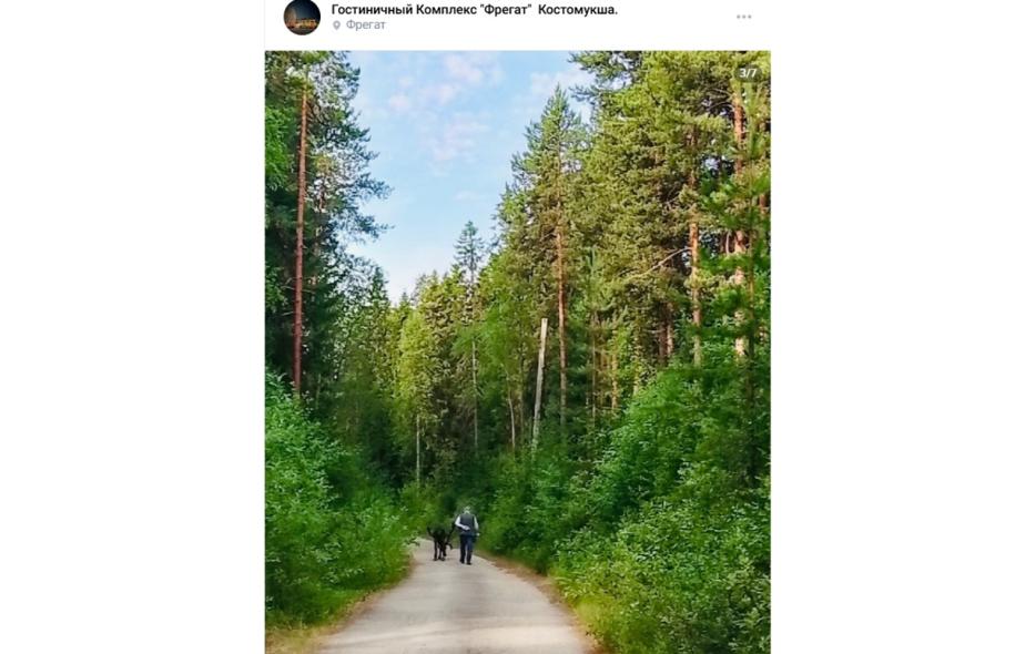 мужчина и олень на тропинке