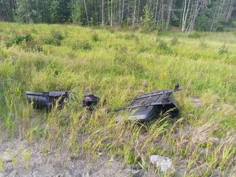поврежденный багажник лежит в траве