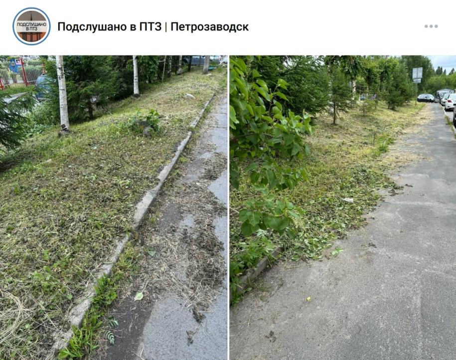 трава
