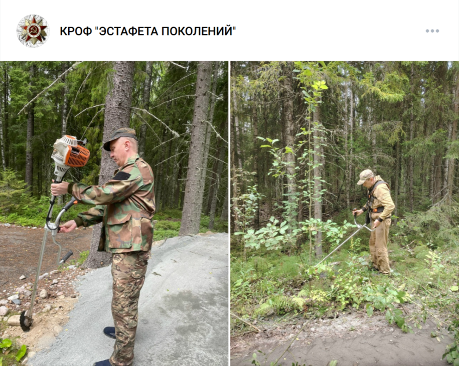 Покос кустарников