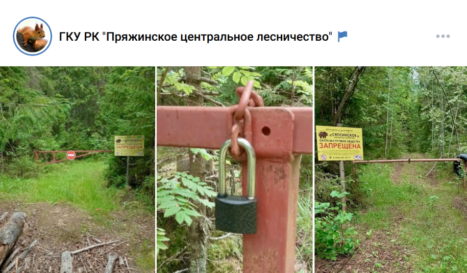Шлагбаум в лесу